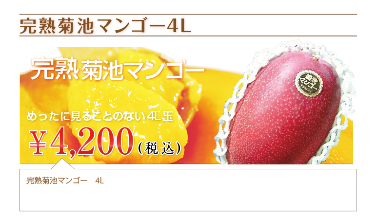 完熟マンゴー4Lサイズ・1玉入り - 火の国マンゴーパラダイス