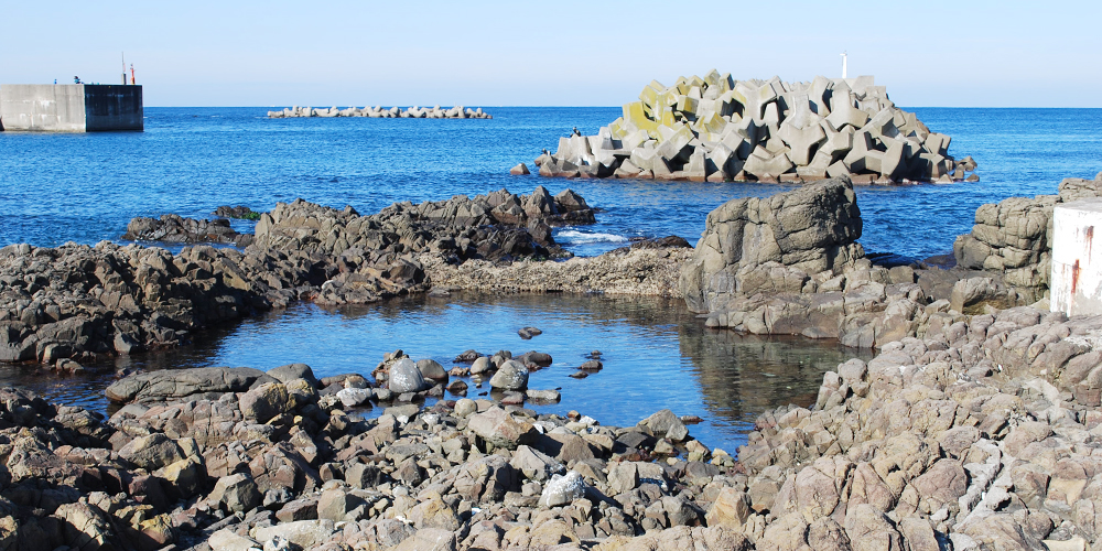 浦島太郎伝説｜万助楼は京丹後網野の浦島太郎伝説ゆかりの宿です
