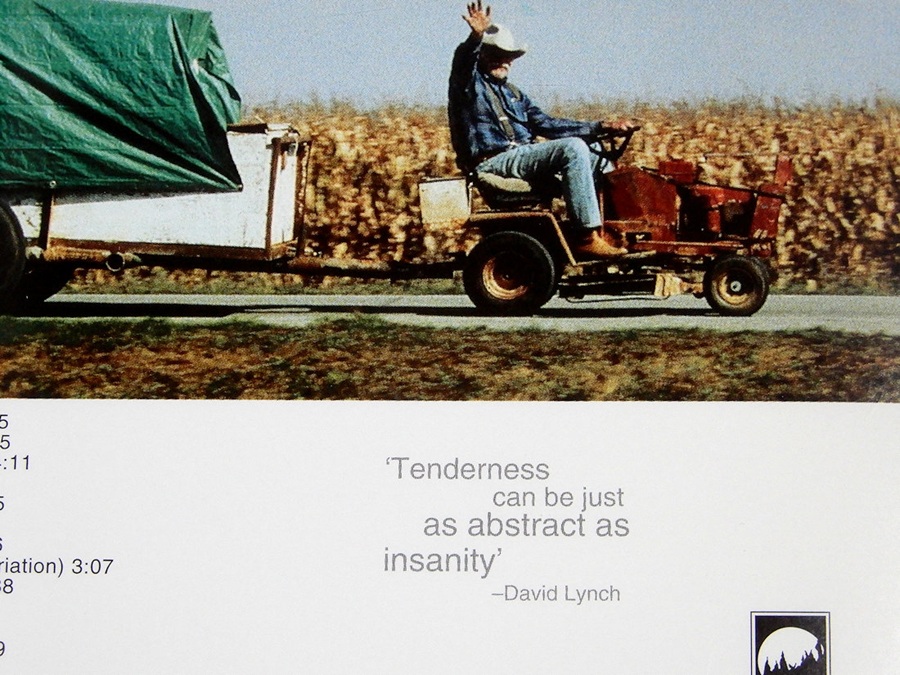 ストレイト・ストーリー』の音楽についてあれこれ調べていたら、「優し