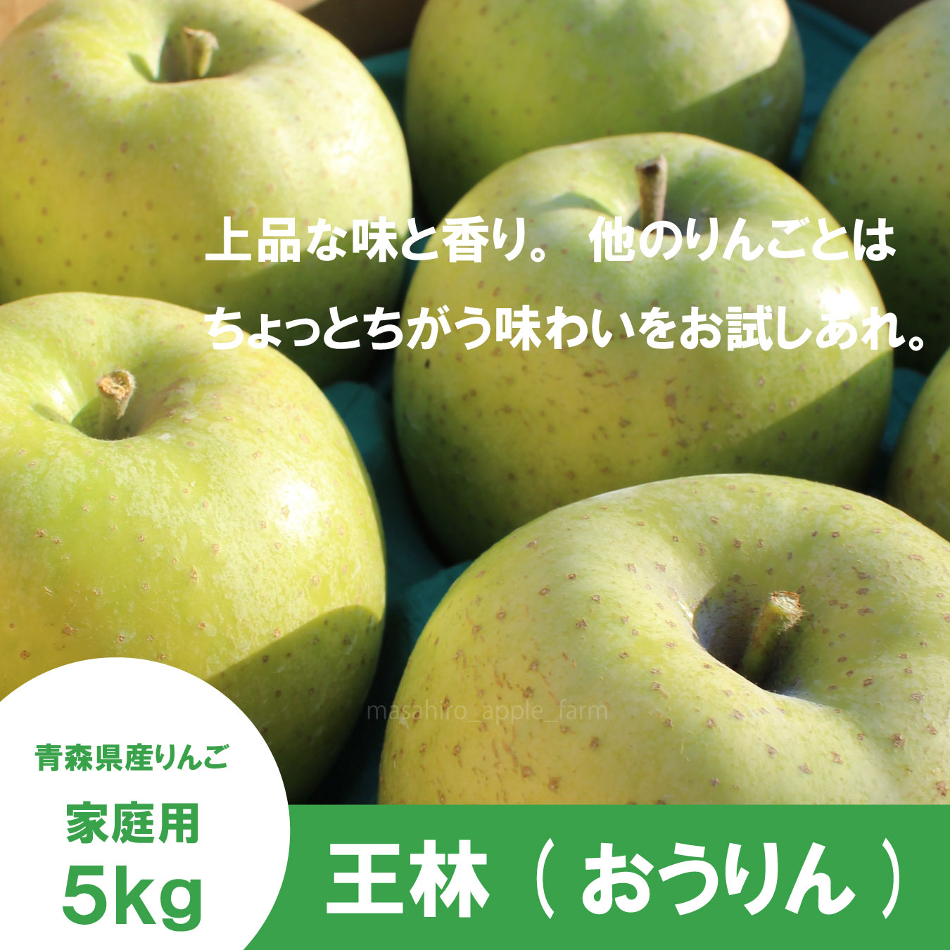 王林【家庭用5kg】｜まさひろ林檎園