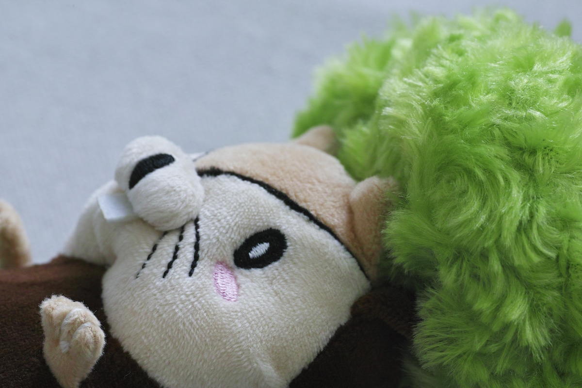 ぬいぐるみ もものこじまのナッツくんの通販 / マスターウォール