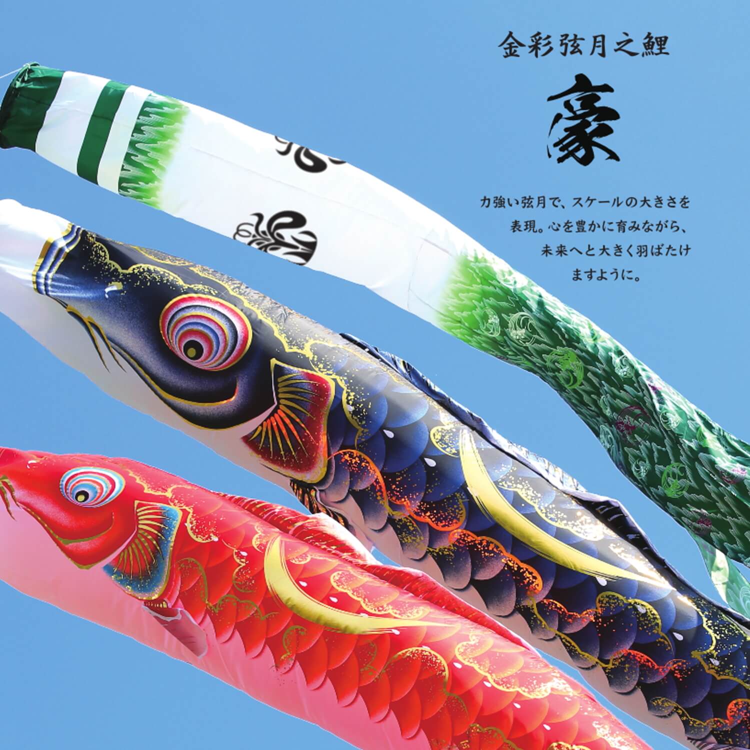 単品鯉】豪 単品鯉のぼり(取付け金具セット)鯉のぼり 徳永鯉