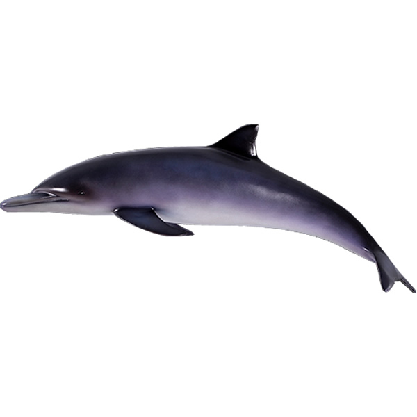 イルカ Dolphin FRPアートオブジェ【商品番号：m-fr120062】