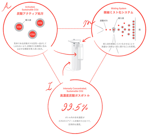 MTG | MEGLY Starter Kit めぐり スターターセット