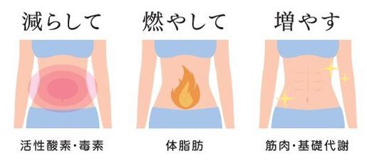 正規取扱店 |スロータス デリシェイク パワーアップして新発売