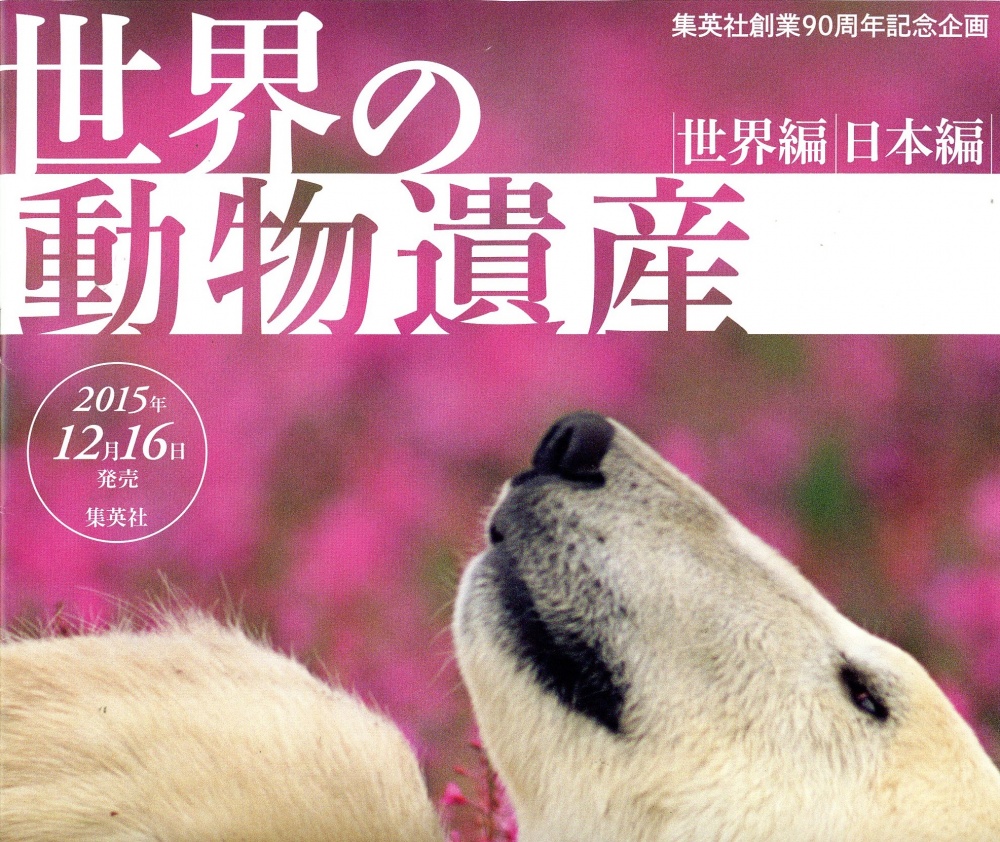 世界の動物遺産 世界編・日本編」 好評発売中 | スタッフTopics | 本