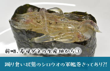 すしラボ（SUSHI LABORATORY）│ すしを知り、作り、楽しむウェブ