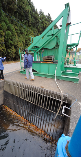 星野 恵美子：水の風土記 人ネットワーク│ミツカン 水の文化センター