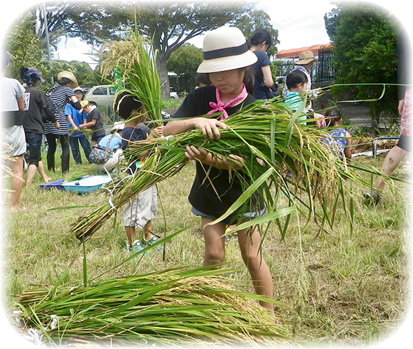 資料編（写真集）