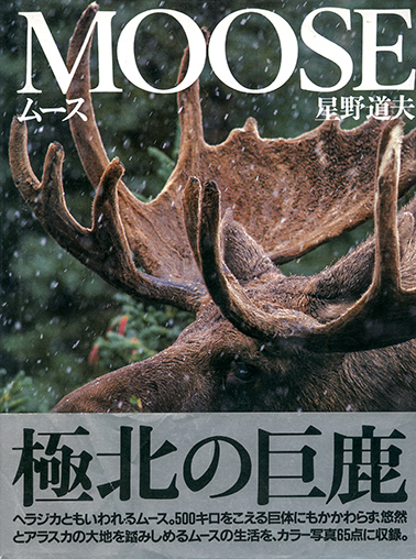 写真集 | 星野道夫事務所公式サイト