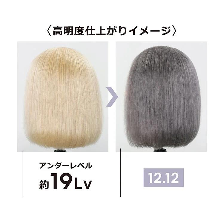 イノア シルバー 12.12 ロレアルプロフェッショナルの通販・卸