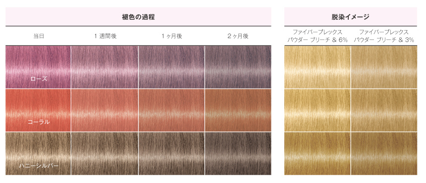 イゴラロイヤルピクサムFGoth-R fp 80g シュワルツコフの通販・卸