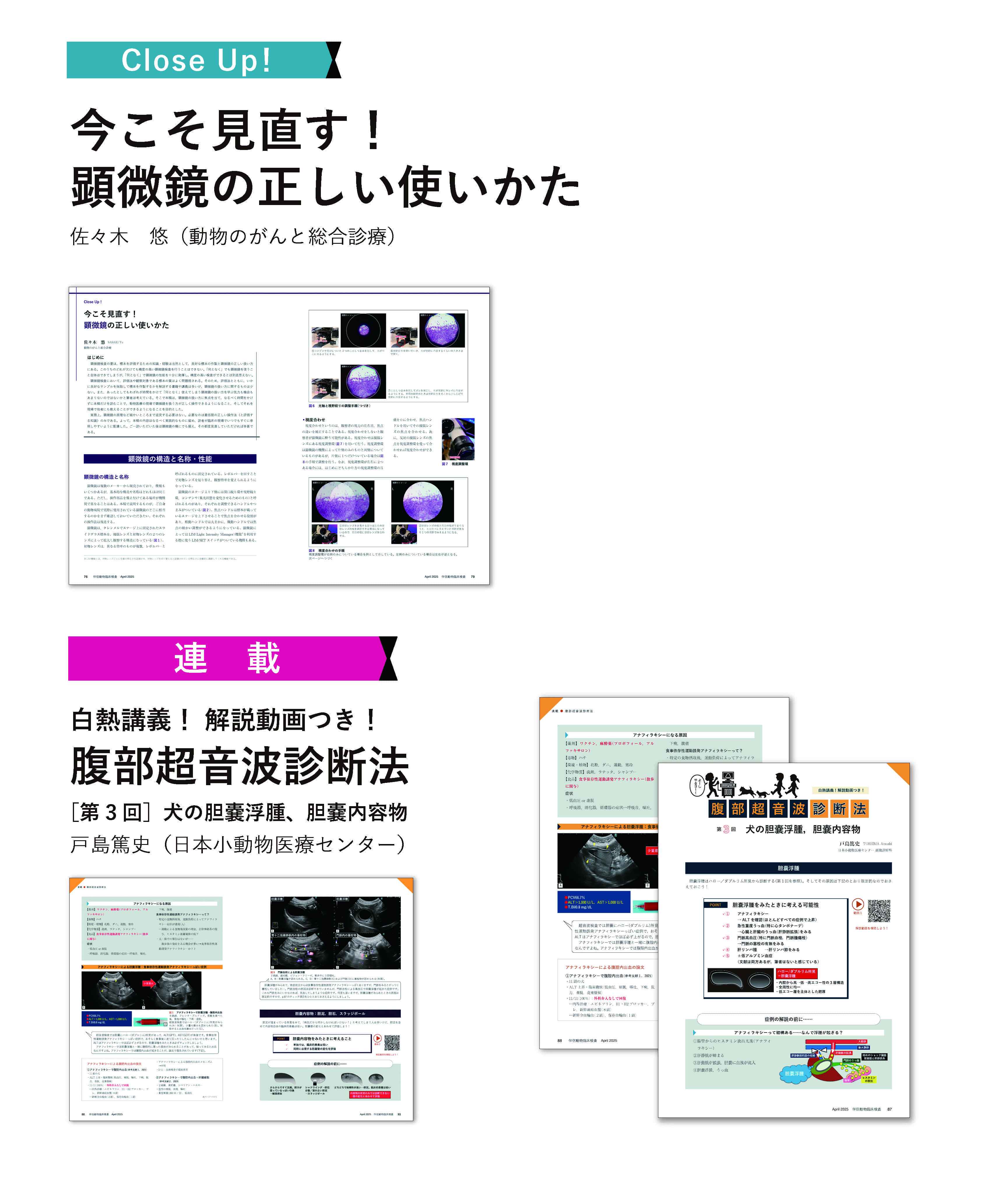 キャンペーン 株式会社緑書房