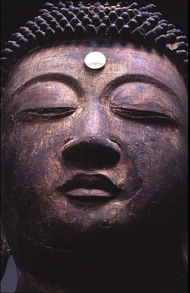 阿弥陀如来坐像 - MIHO MUSEUM