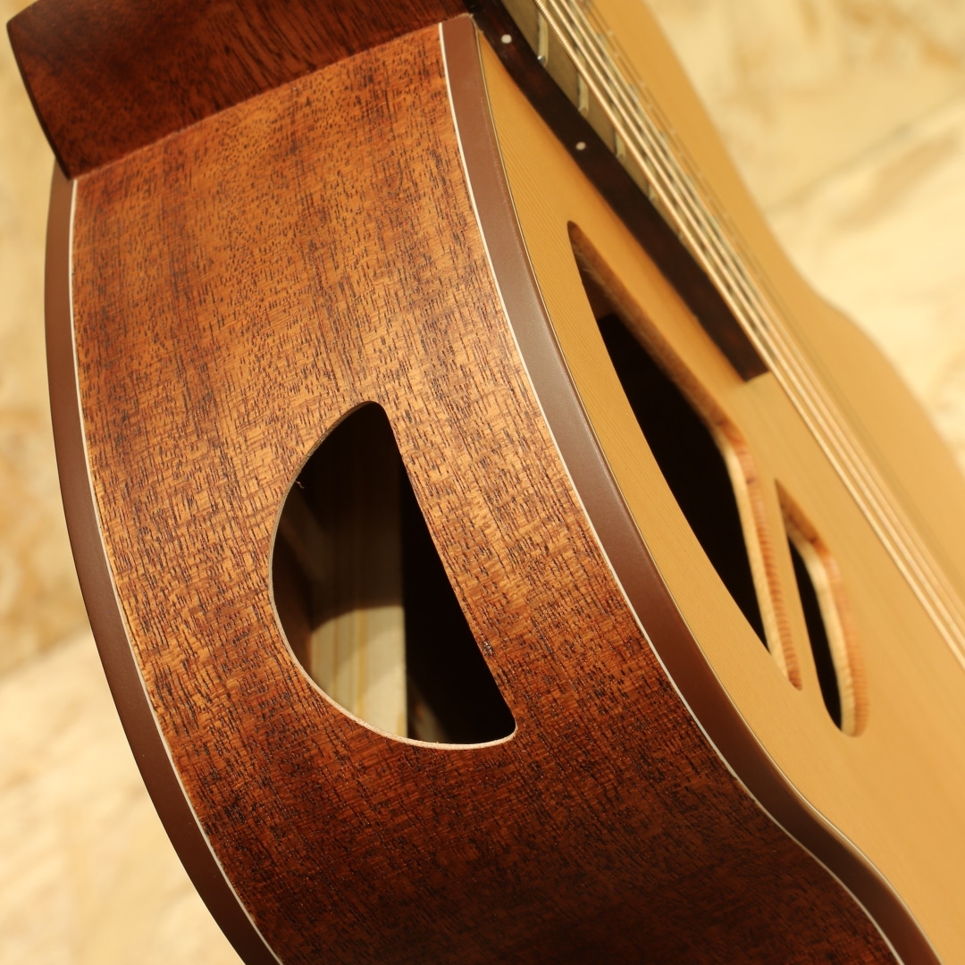 Le Light ST: アコースティックギター｜三木楽器公式通販サイト