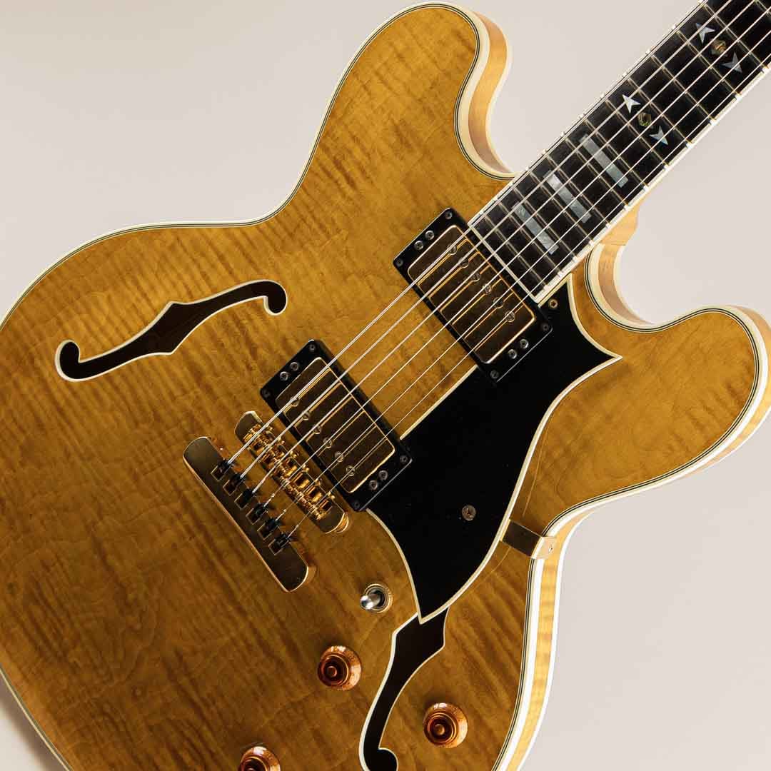 H-555 Amber: エレキギター｜三木楽器公式通販サイト
