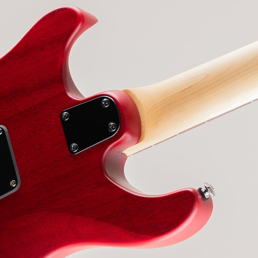 SE CE 24 Standard Satin/Vintage Cherry【2024】: エレキギター｜三木