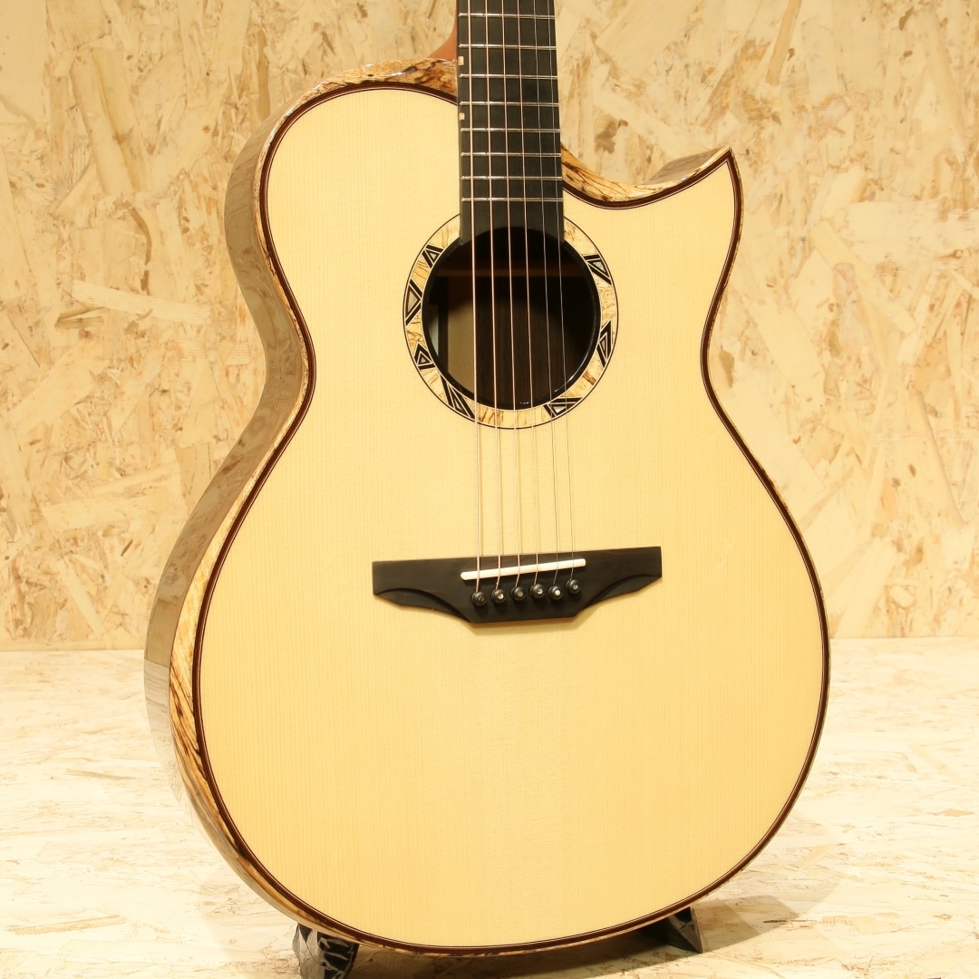 HA-WAVE: アコースティックギター｜三木楽器公式通販サイト