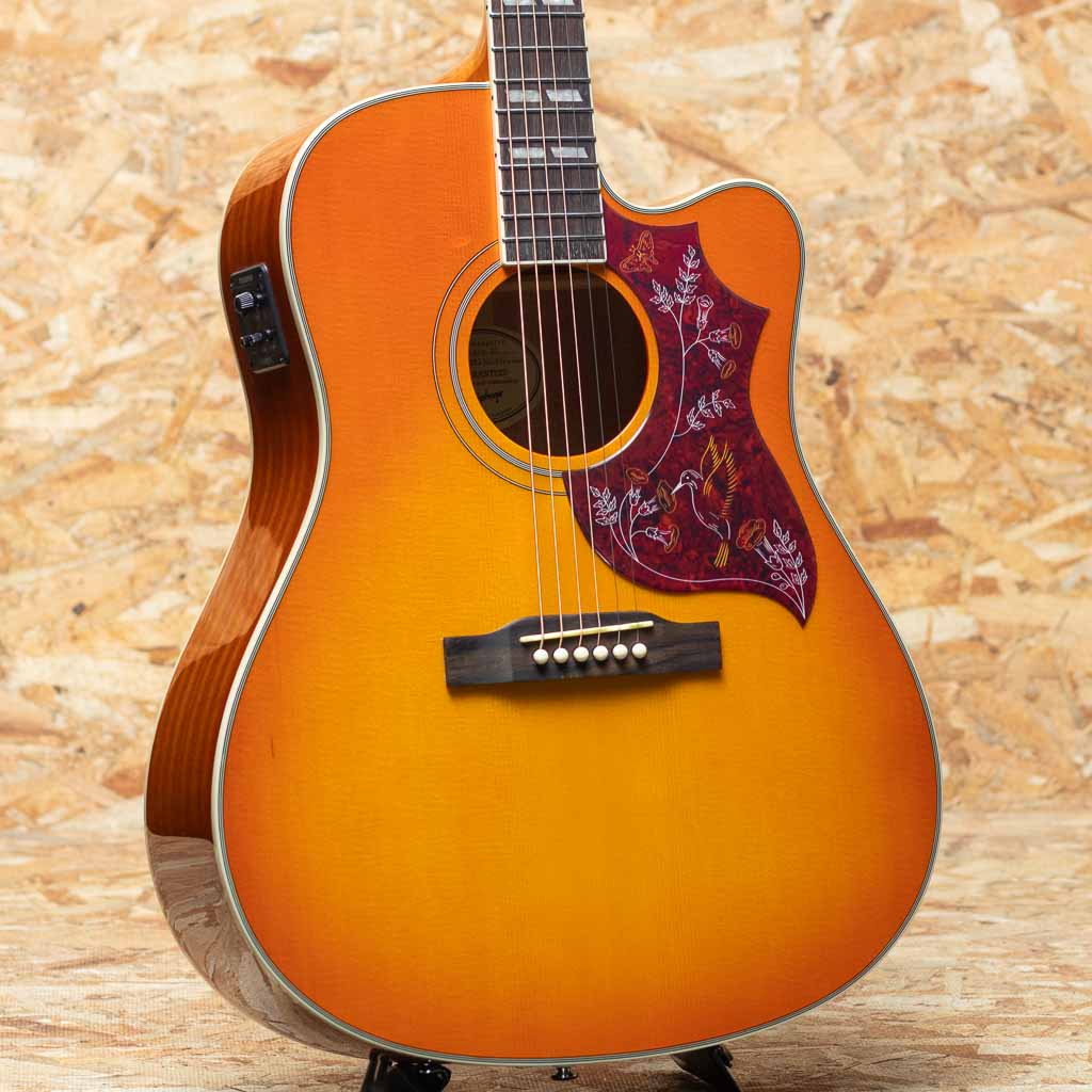 EPIPHONE（エピフォン） Acoustic guitar 一覧 | 三木楽器公式通販