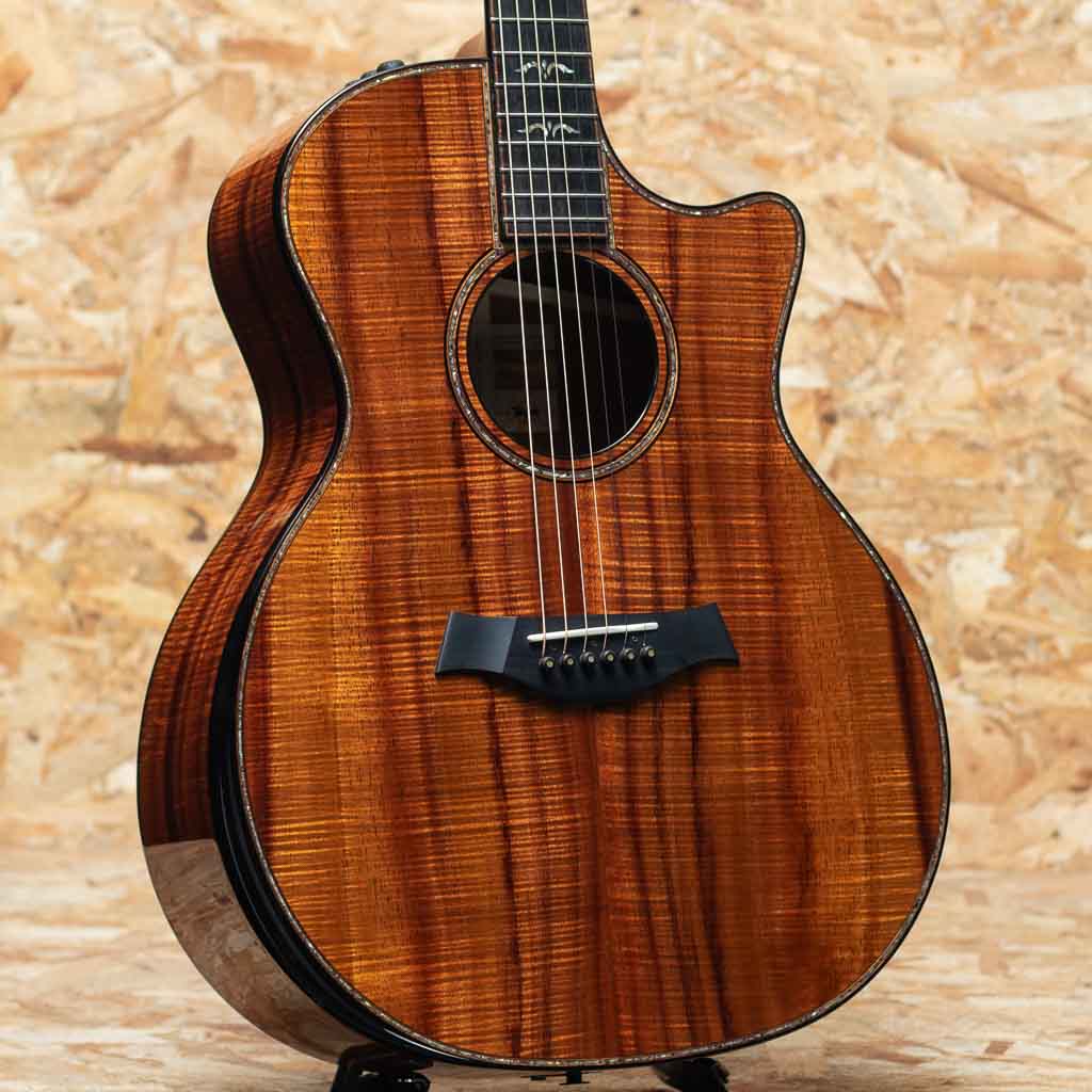 50th Anniversary 924ce-K LTD CIRCA 74 Amp Set: アコースティック