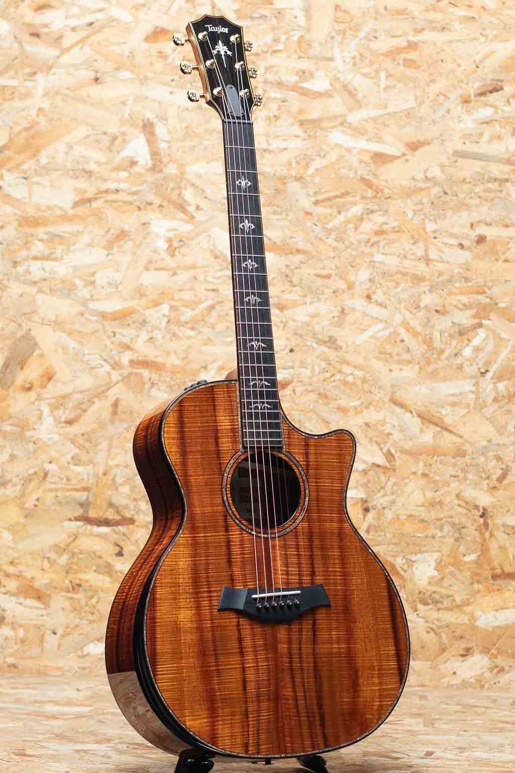 50th Anniversary 924ce-K LTD CIRCA 74 Amp Set: アコースティック