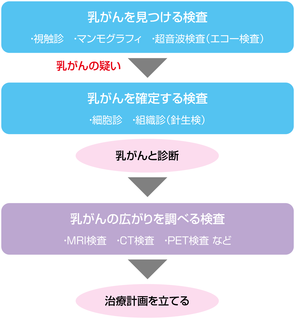 検査・診断(ステージ、サブタイプなど) | 乳がん | MSD oncology がん