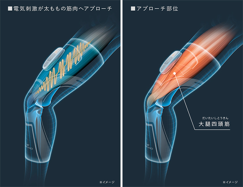 ひざにつながる太ももの筋肉にアプローチ「SIXPAD Knee Fit（シックス