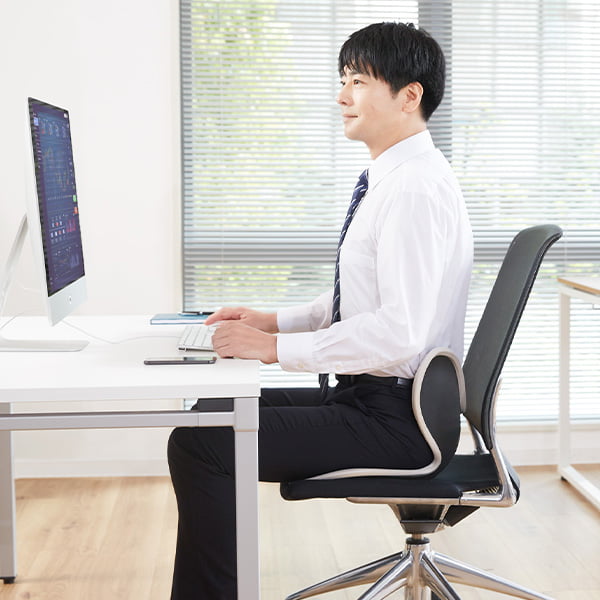骨盤 テレワーク】スタイル ドクターチェア プラス｜Style Dr.CHAIR