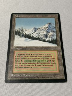 Taiga - MTG専門店 Initiative