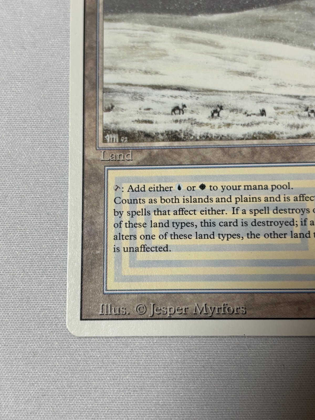 Tundra》[3ED] SP - MTG専門店 Initiative