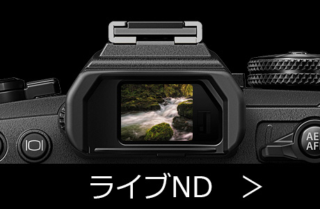 ミラーレス一眼 OLYMPUS OM-D E-M1 Mark III レビュー - ムラウチ