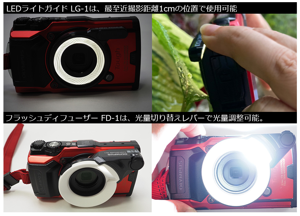 夏の自由研究テーマはこれで決まり！タフカメラ OLYMPUS Tough TG-6で