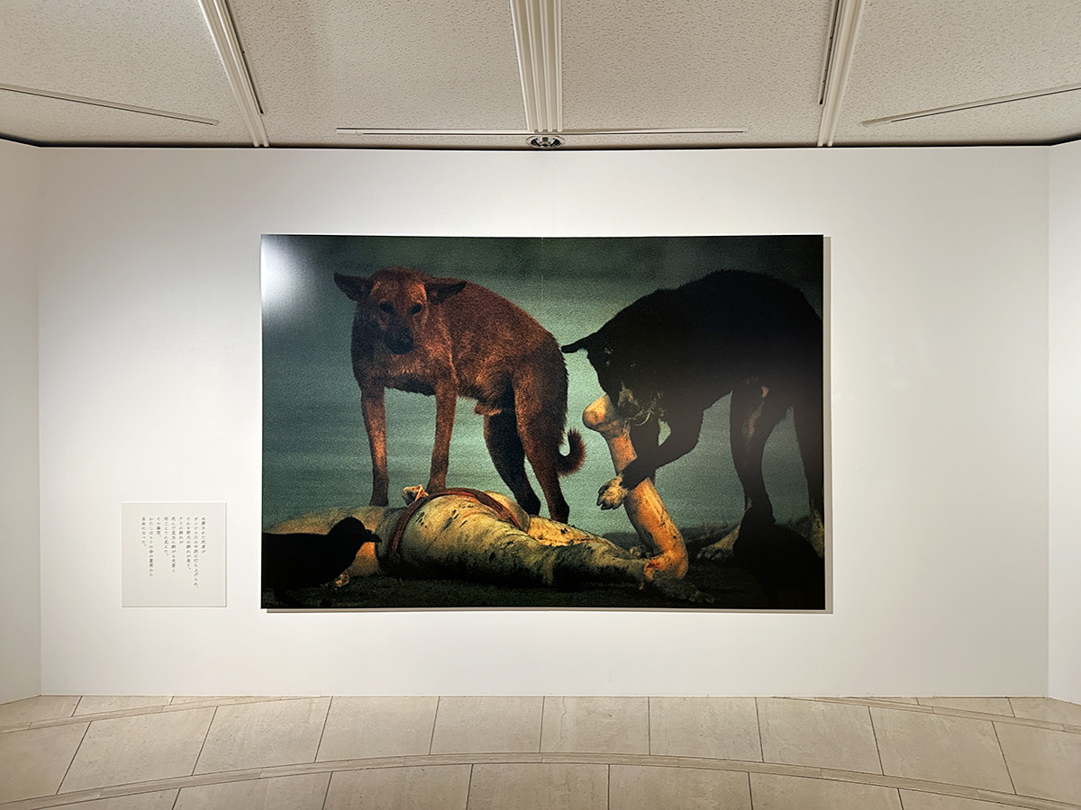 祈り・藤原新也 | レポート | アイエム［インターネットミュージアム］