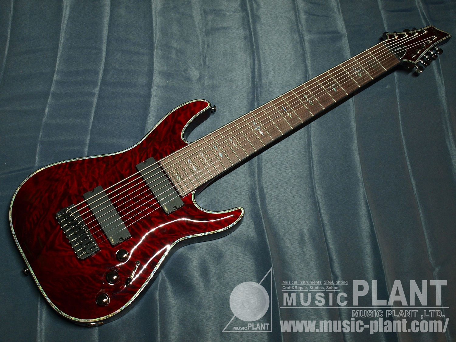 SCHECTER Diamondシリーズ 9弦エレキギターHELLRAISER C-9新品生産完了