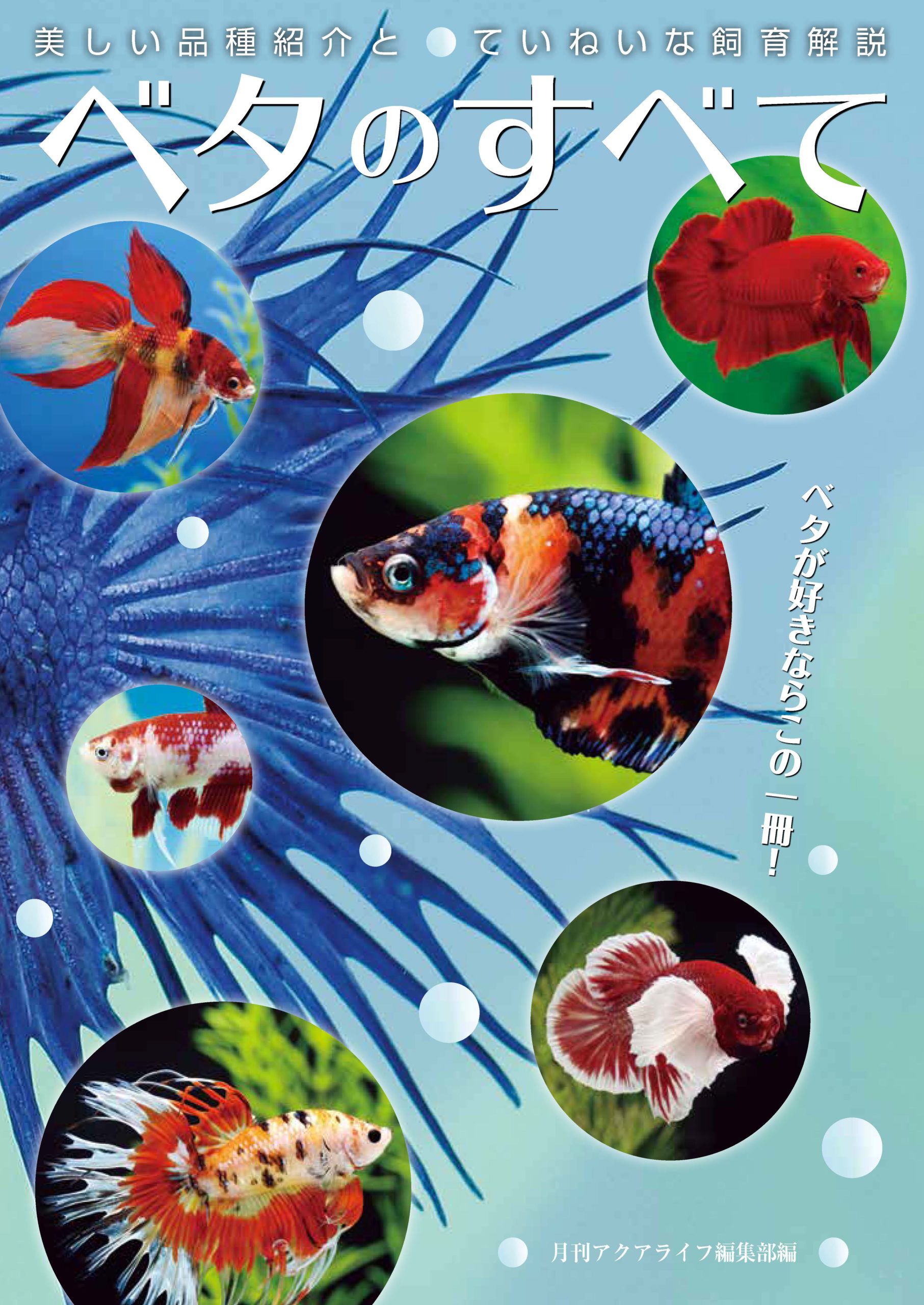 ベタのすべて ※売り切れ ｜ エムピージェー