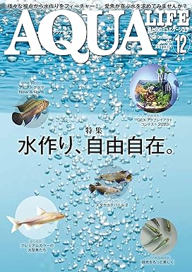 アクアライフ2023年12月号11月10日発売！ ｜ エムピージェー