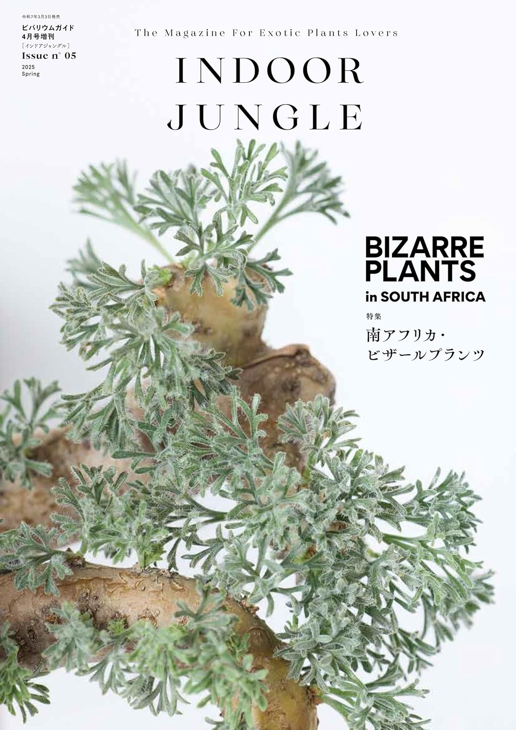 INDOOR JUNGLE Issue.06 ｜ エムピージェー