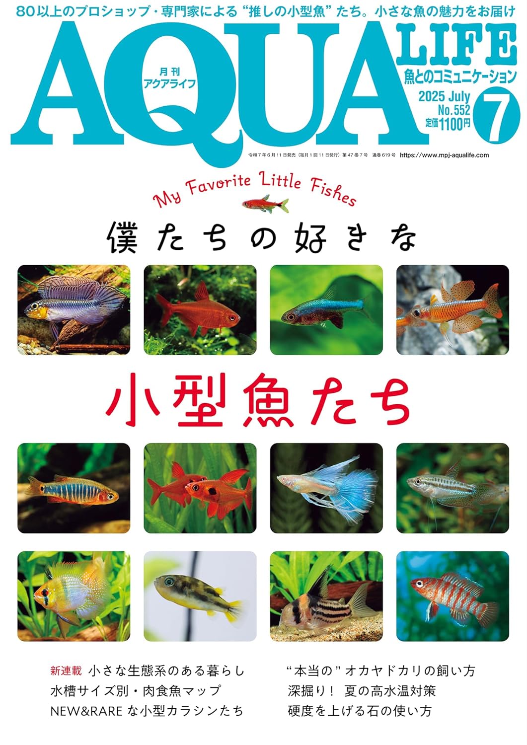 アクアライフ2025年7月号は6月11日発売！ ｜ エムピージェー