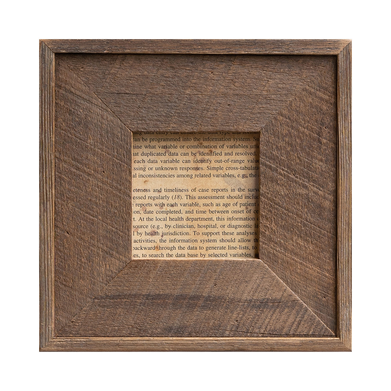 RIKUMUページ 流木額縁2点 RIKUMUページ 流木額縁2点 RIKUMUページ