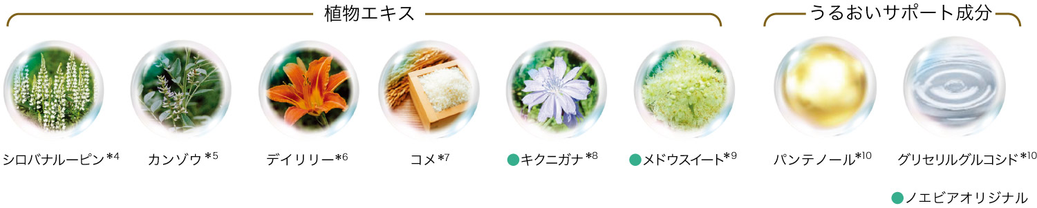 新開発した“ニリンソウ”の美容成分とアルガンツリーの幹細胞エキスを