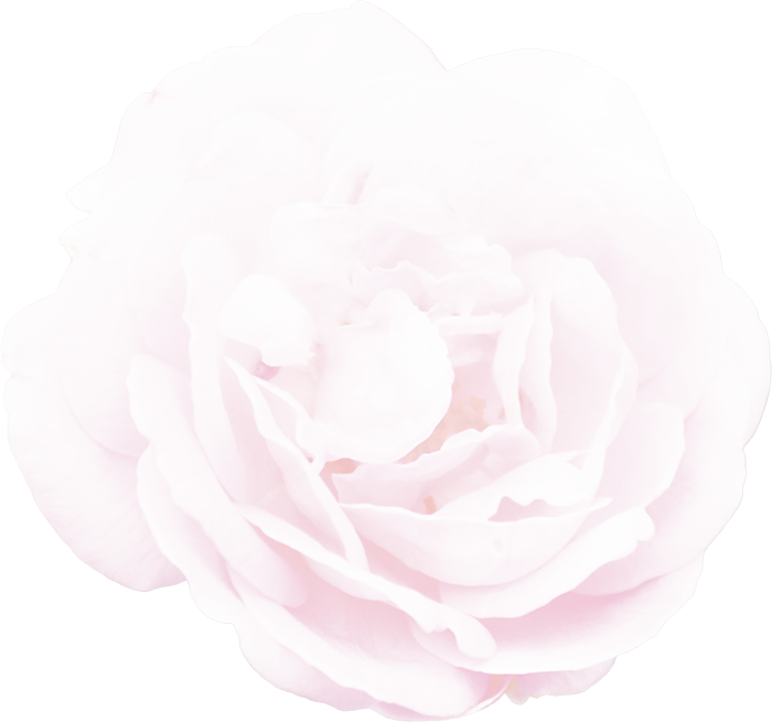 スペチアーレ ローズコフレ｜商品情報｜ノエビア スペチアーレ