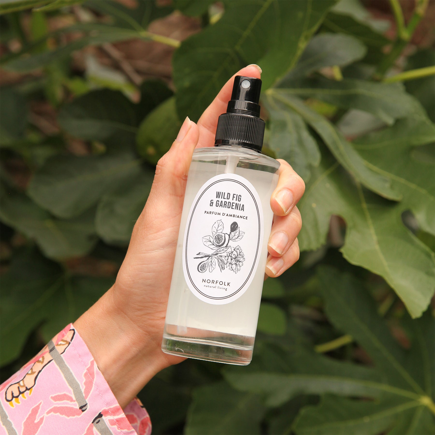 Room Spray - Wild Fig and Gardenia – Norfolk Natural Living