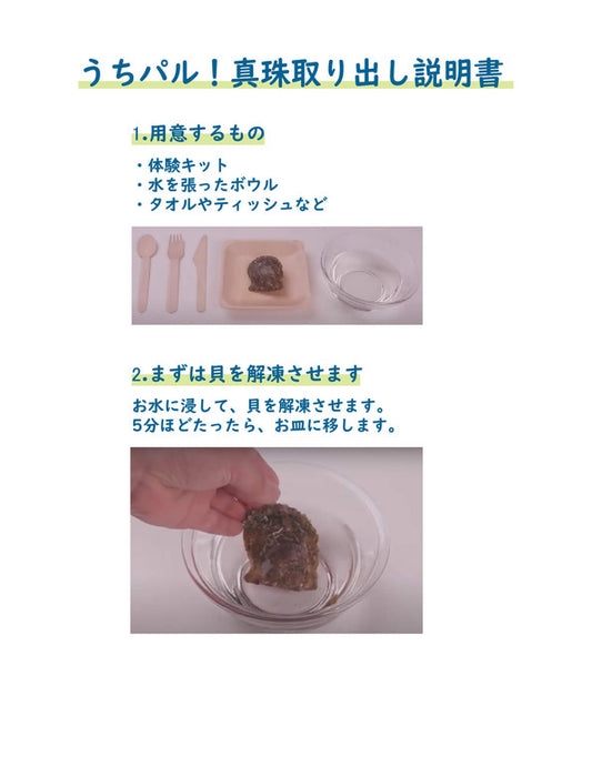 メーカー直送】うちパル! 真珠取り出し体験キット1個 | Northmall