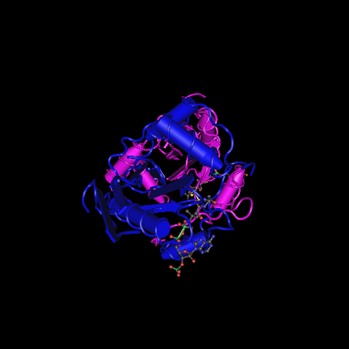 7DAJ: The crystal structure of serotonin N-acetyltransferase in