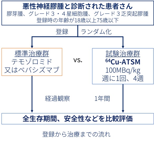 再発・難治性悪性脳腫瘍に対する日本発の新規放射性治療薬64Cu-ATSMの