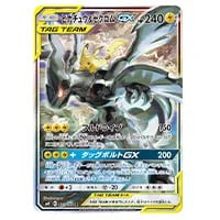 ゼクロムGX [ゼクロムHR争奪戦] 240/SM-P 買取 | ポケモンカード買取