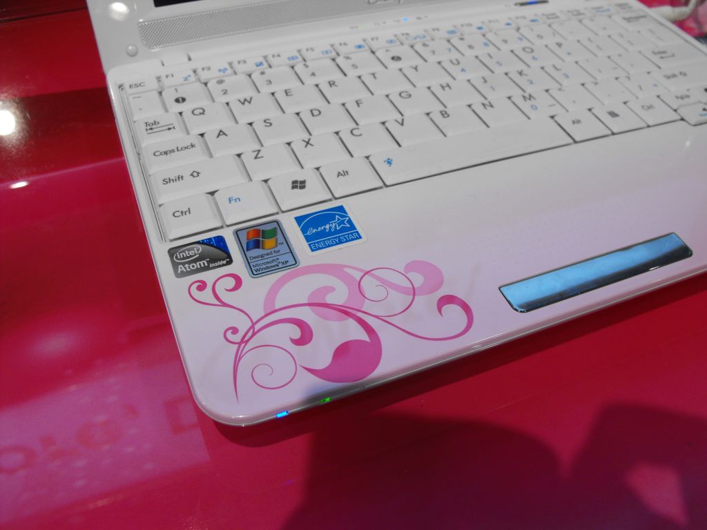 CES 2010: ASUS Eee PC MK90H - Disney Eee PC