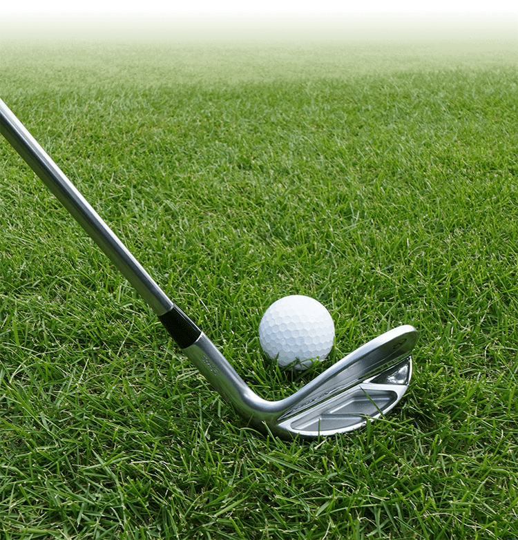 CHIPPING WEDGE GH45 | NEXGEN -ネクスジェン-