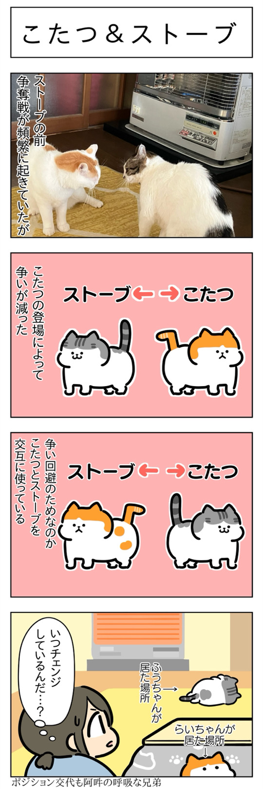 こたつ2024・こたつ＆ストーブ│フェリシモ猫部