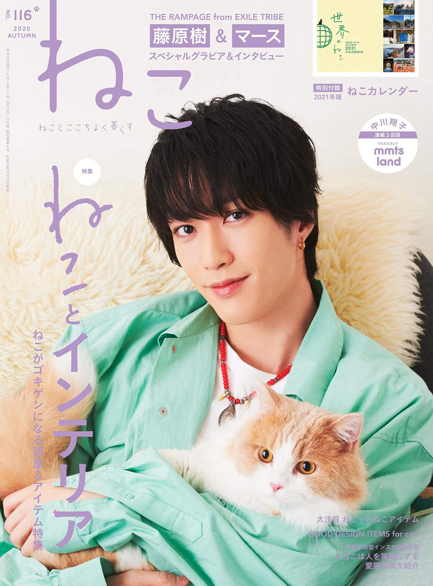 藤原樹クッション縁日 特賞激レア PRIMALSPIDERTHE RAMPAGE